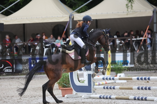 Ichenheim_2024_Prfg.Nr.26_Stilspring-WB_60cm_Mira Alshehab (6) | Alle Fotos der Reiterjournal Fotografin Doris Matthaes im Reiterjournal Online-Fotoshop. - Realisiert mit Pictrs.com