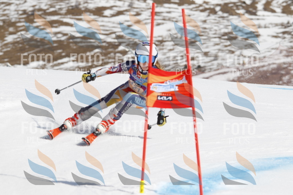 _U3G0715 | holidayphoto