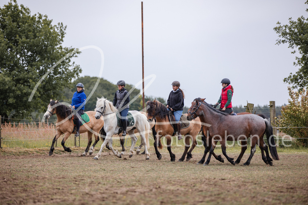 846A0307 | fotosleben - Realisiert mit Pictrs.com