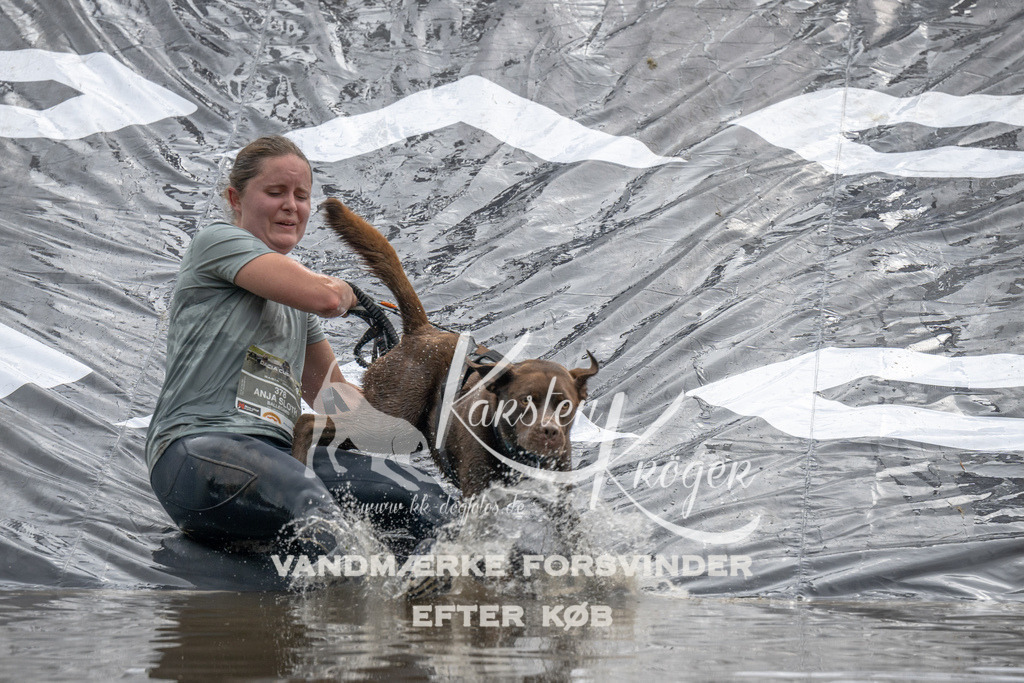 1419_ZZ90041 | kk-dogfotos