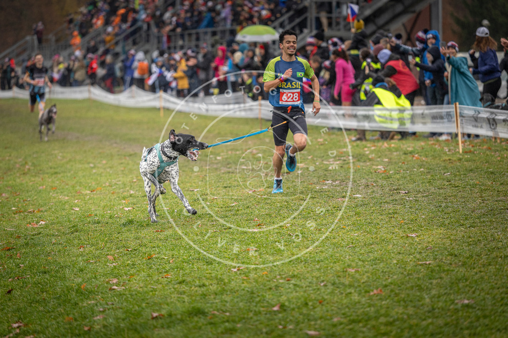 CaniXpix_DV3A9618 | Hundefotografie, Tierfotograf, Pfotenfotografie, Fotoshooting Hund, Hunde Portrait, Hundesport, Hundeportraits, Heideshooting, Hunde, Sportfotograf, Hundefotograf, Turnierhundsport, THS,  - Realisiert mit Pictrs.com