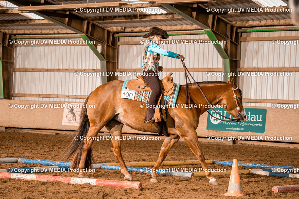 BA300390 | dv-media-shop - Realisiert mit Pictrs.com