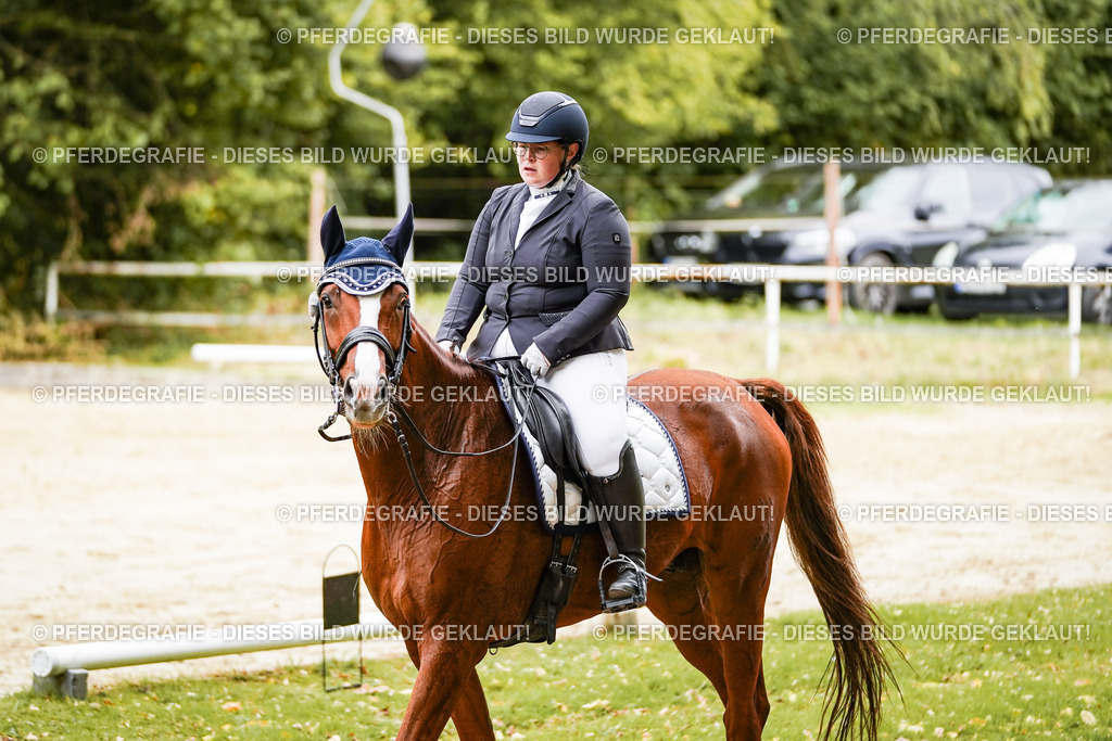 DSC03353 | Pferdegrafie