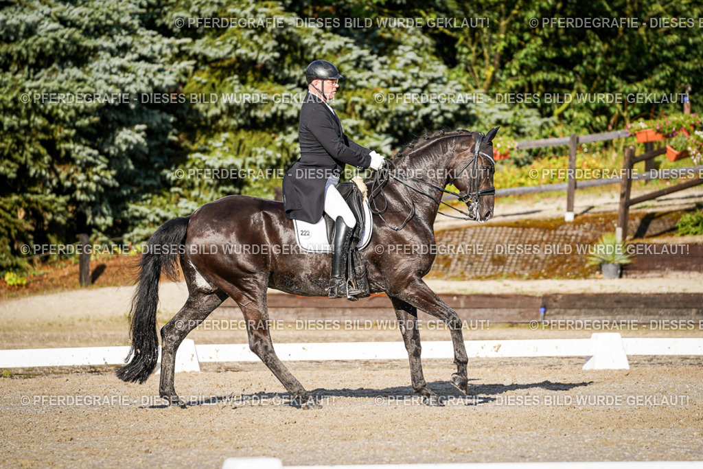 DSC00786 | Pferdegrafie