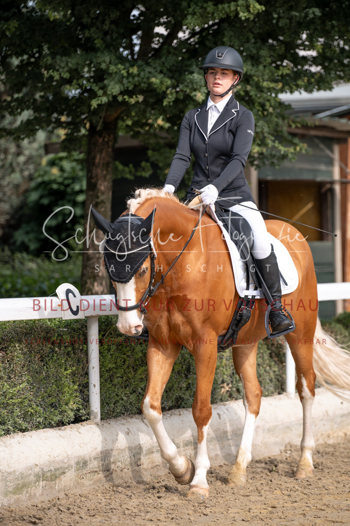 Schugtsche-Aluta25-40.DressurprfA_-147 | Schugtsche Fotografie - Realisiert mit Pictrs.com