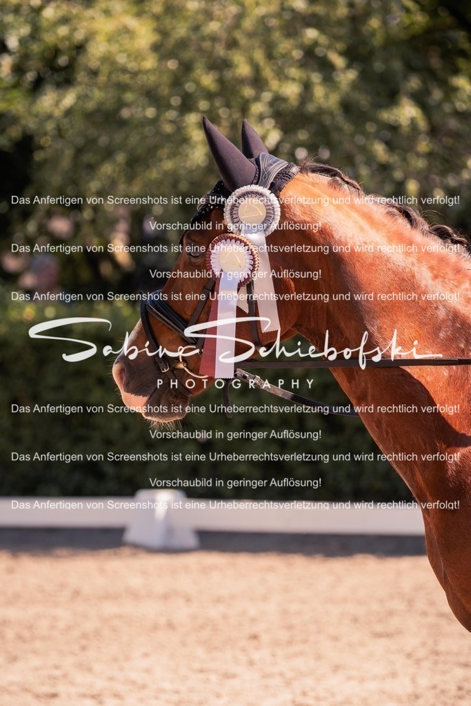 2025_05_31_DSCF3128 | People- und Tierfotografie, Imageaufnahmen, Veranstaltungsfotografie und Wandbilder aus der Natur ★ Made in Germany ✔️ Druck + Downloads ✔️ Naturfotografie in Top Qualität ★ schneller Versand, weltweite Lieferung! - Realisiert mit Pictrs.com