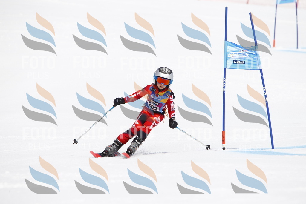 _U3G5249 | holidayphoto