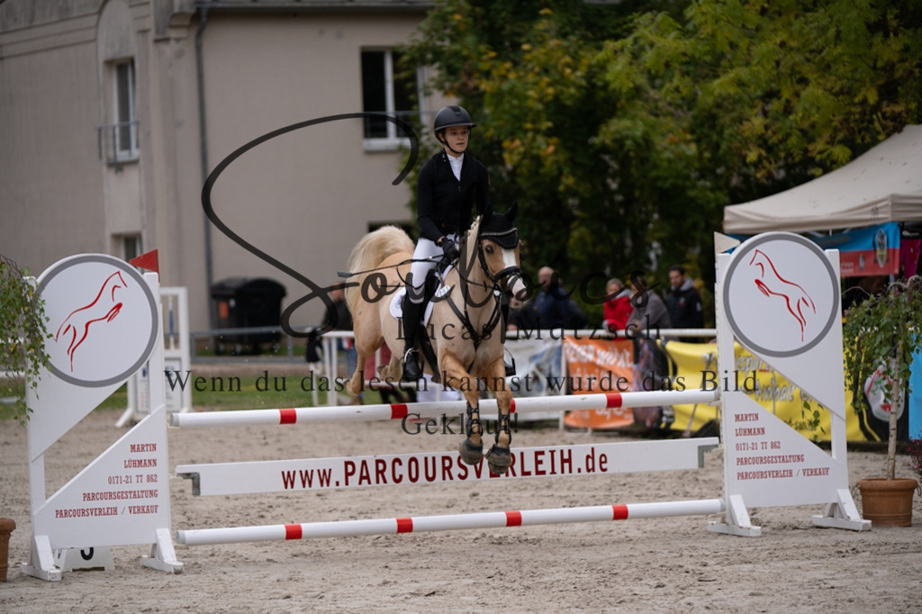 A7V07827 | Pferdefotograf