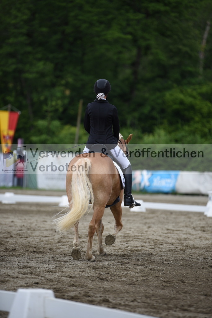 DSC_8591 | equestrian-live-com