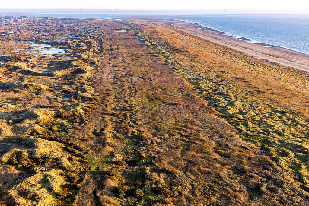Aerial view: Wadden Sea National Park in Fanø in the state South Denmark, Denmark.Photo: IMG_118959.jpg taken on 09/21/2019 by Werner Riehm/FLY-FOTO.comResolution of the original: 5245 x 3497 px