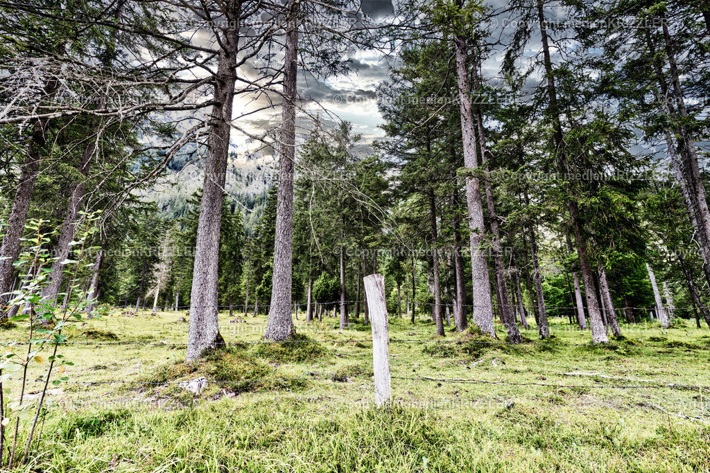 _J3A8405_wetter | medienkrizzler - Realisiert mit Pictrs.com