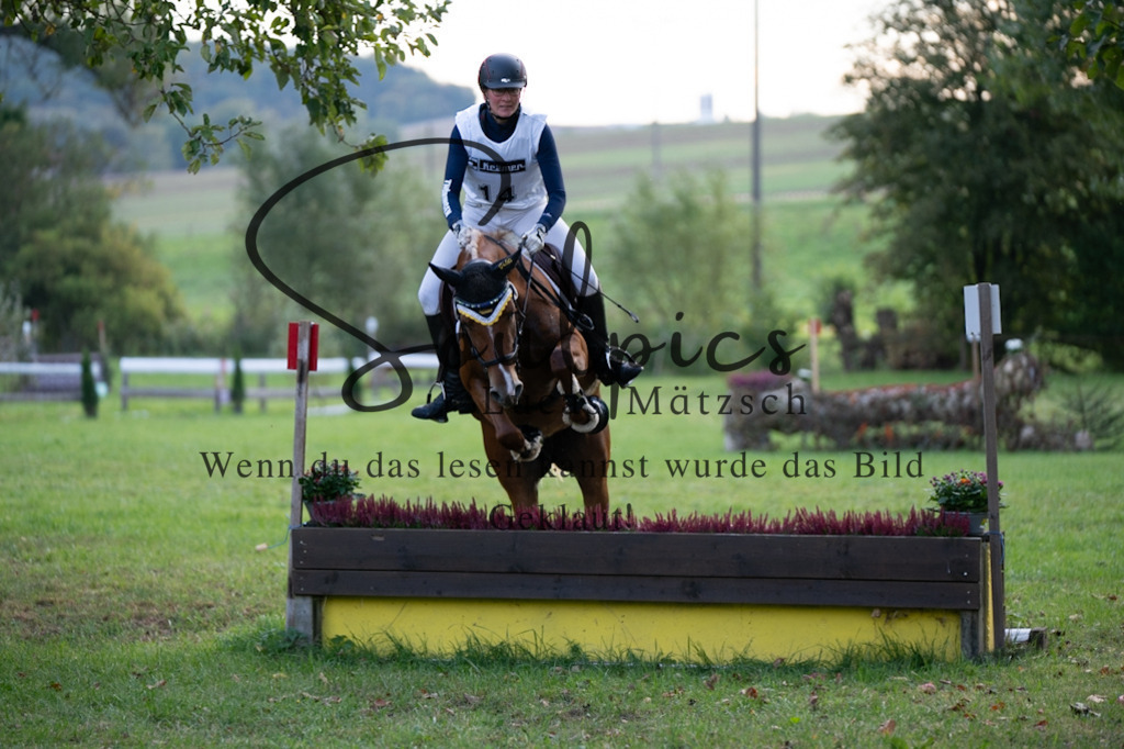 A7V03003 | Turnier/Reitfotograf