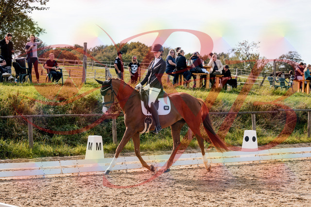 2026_10_03_Siefer-Hof_133000_Z63_91823406 | Professionelle Reitsport-, Turnier- und Eventfotografie von Robert Broda. Galerien mit ausgewählten und bearbeiteten Bildern direkt online ansehen und bestellen.