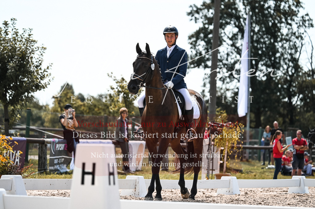 DSC_5430 | Pferde- und Turnierfotografie in Westsachsen. Pferdeportraits, Auftragszeichnungen und intuitive Kunst.