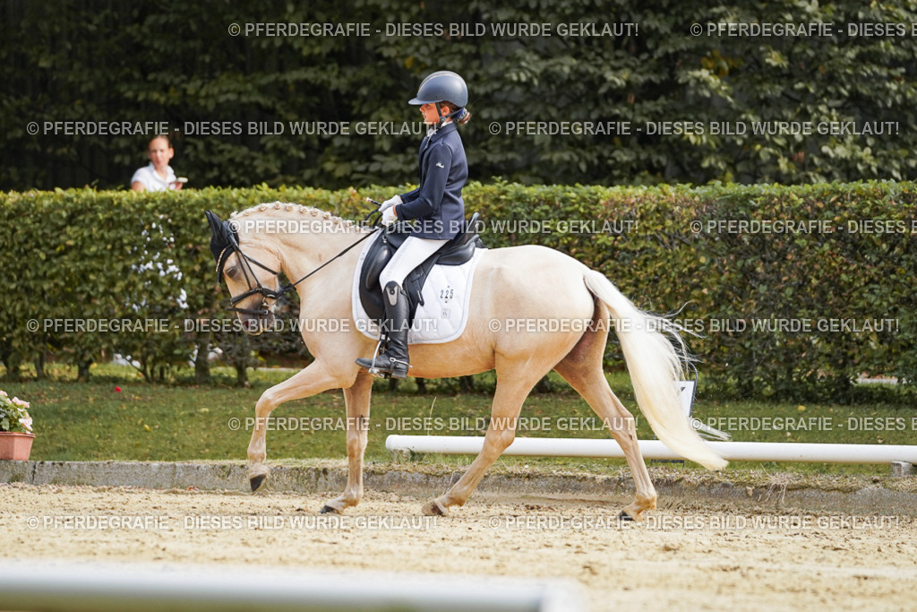 DSC04907 | Pferdegrafie