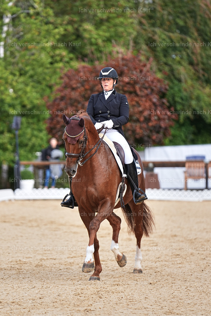 10-230-ST.GEORG SPECIAL -Marixx-3339 | working equitationturnier fotograf videograf stoibphotography marixx film working equitation deutschland reitsport turnierfotografie eventfotografie equestrian events