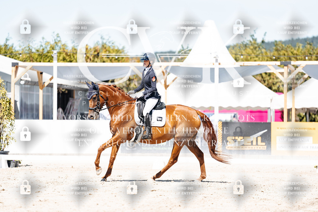 CK909669 | Turnierfotografie Pferdefotografie Trier Rheinland-Pfalz Pferdesport Reitsport Tierfotografie Sportfotografie Pferdevideo Pferdevideografie Equestrianvideography equestrianphotography  - Realisiert mit Pictrs.com