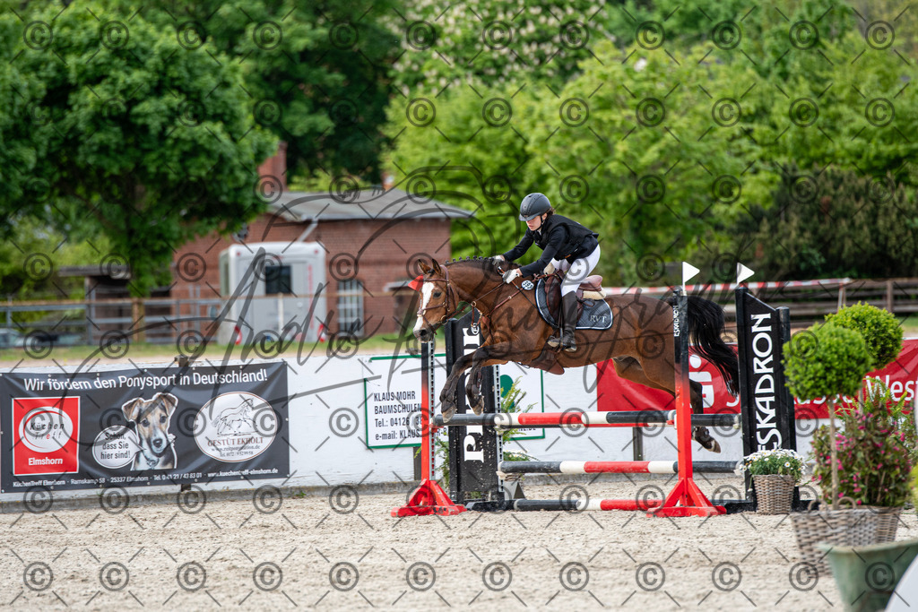 KPT_7167 | andre_photographic