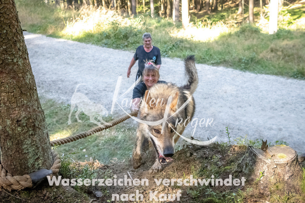 1138_ZZ91178 | kk-dogfotos