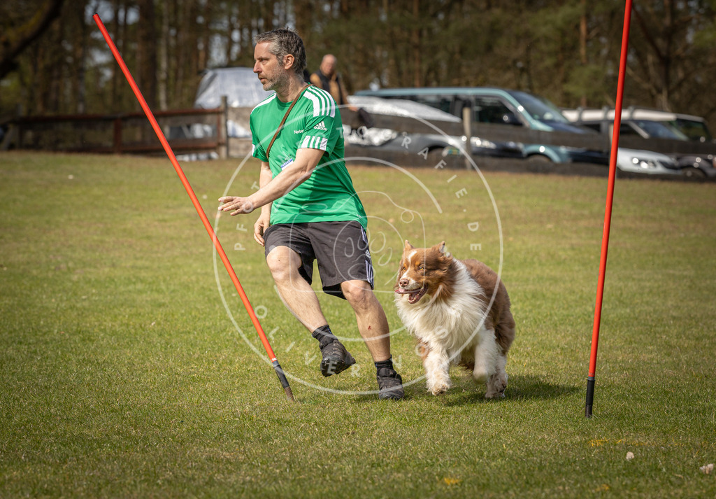 Pfotenfotografie_DV3A7736 | Hundefotografie, Tierfotograf, Pfotenfotografie, Fotoshooting Hund, Hunde Portrait, Hundesport, Hundeportraits, Heideshooting, Hunde, Sportfotograf, Hundefotograf, Turnierhundsport, THS,  - Realisiert mit Pictrs.com
