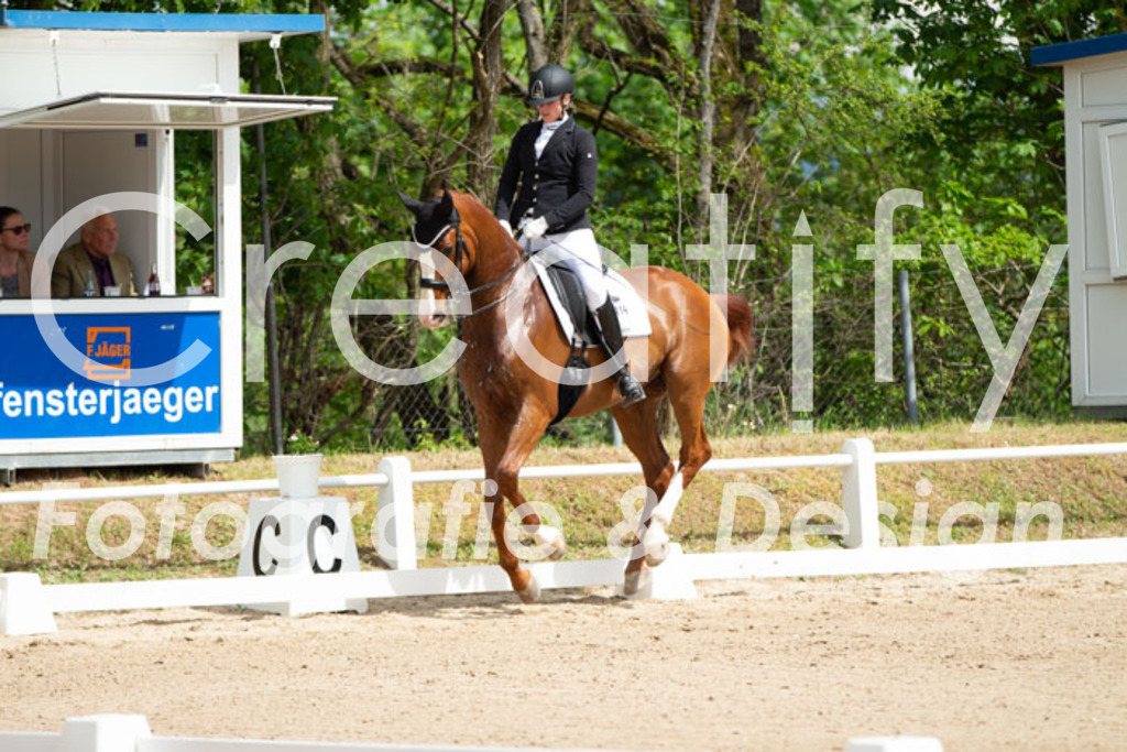 IMG_6449 | Creatify Fotografie