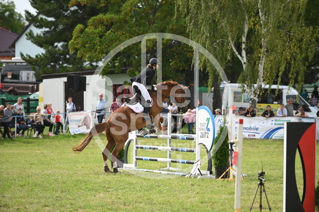 DSC_3141 | sattelsport - Realisiert mit Pictrs.com