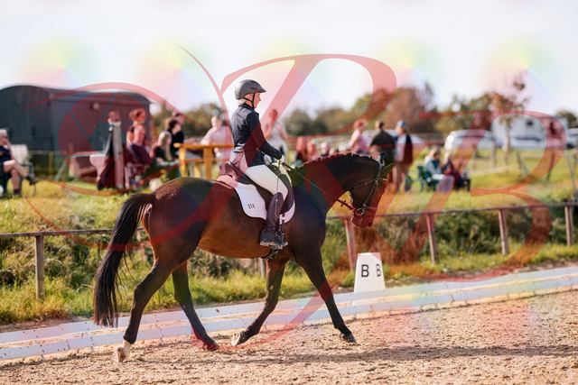 2026_10_03_Siefer-Hof_133823_Z81_95771718 | Professionelle Reitsport-, Turnier- und Eventfotografie von Robert Broda. Galerien mit ausgewählten und bearbeiteten Bildern direkt online ansehen und bestellen.