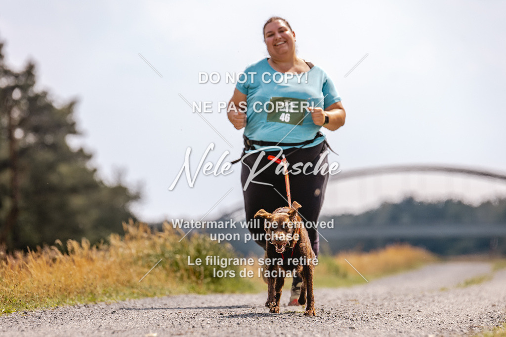 BUHU_CC_161 | nelerasche