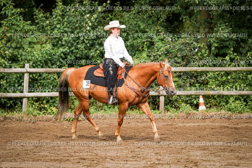 DSC09174 | Pferdegrafie