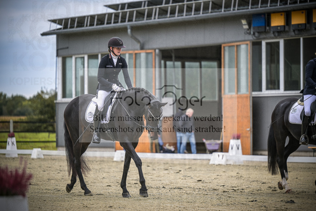 DOS_0538 | Entdecke hochwertige Reitturnierfotos von Foto Oger. Professionell, emotional und authentisch – jetzt Lieblingsmomente im Shop bestellen.Deutschlandweite Turnierfotografie. - Realisiert mit Pictrs.com