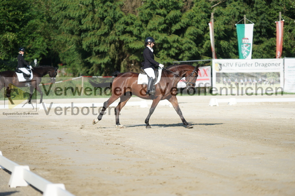 DSC02776 | equestrian-live-com