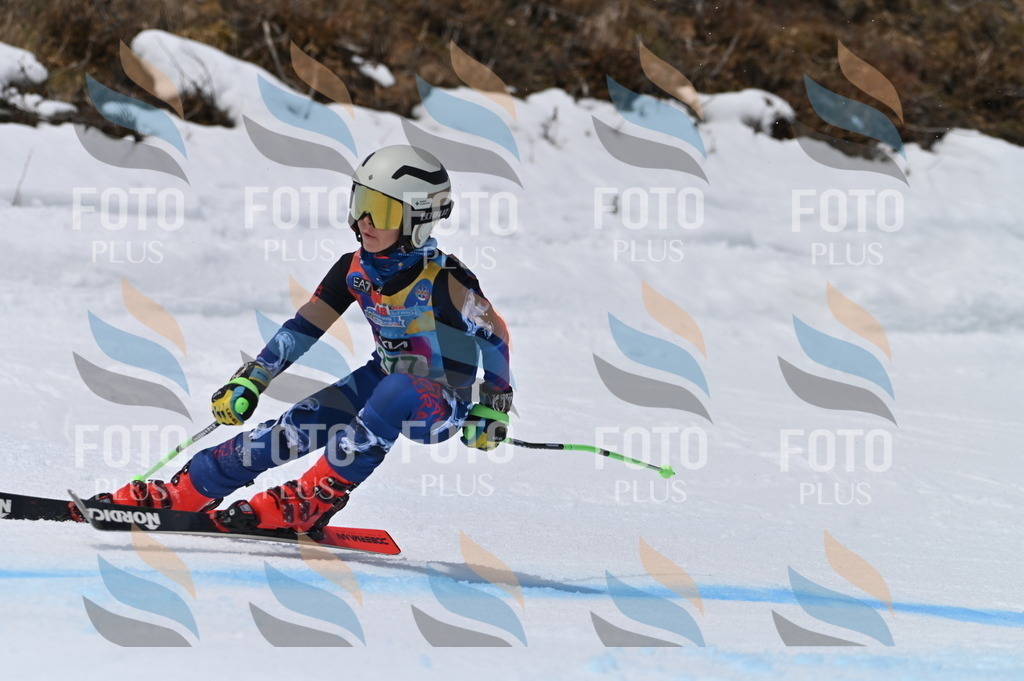 BGV_5511 | holidayphoto