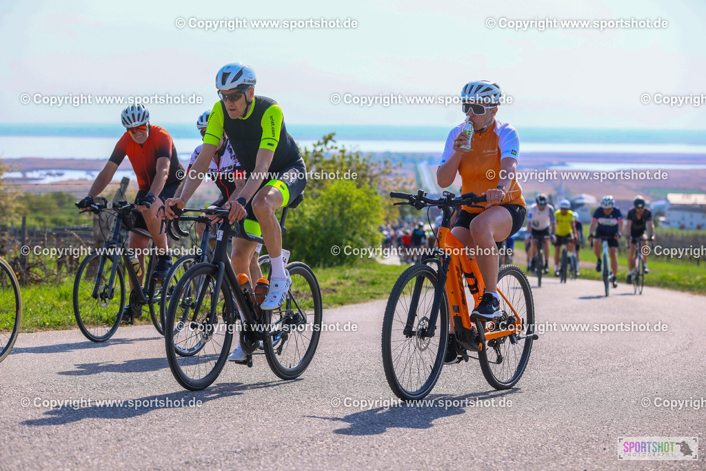 TRA_1057 | Neusiedlersee Radmarathon 2026@sportshot_your_pictrs #yourpictures#roadtowm2029 #nrm #neusiedlerseeradmarathon #neusiedlersee #neusiedlerseetourismus #burgenland #mörbisch #nrm26 #burgenlandtourismus #voglundco #poweredbyburgenlandtourismus #radsport #rad #marathon #ucigranfondo #visitburgenland #ucigranfondoworldseries