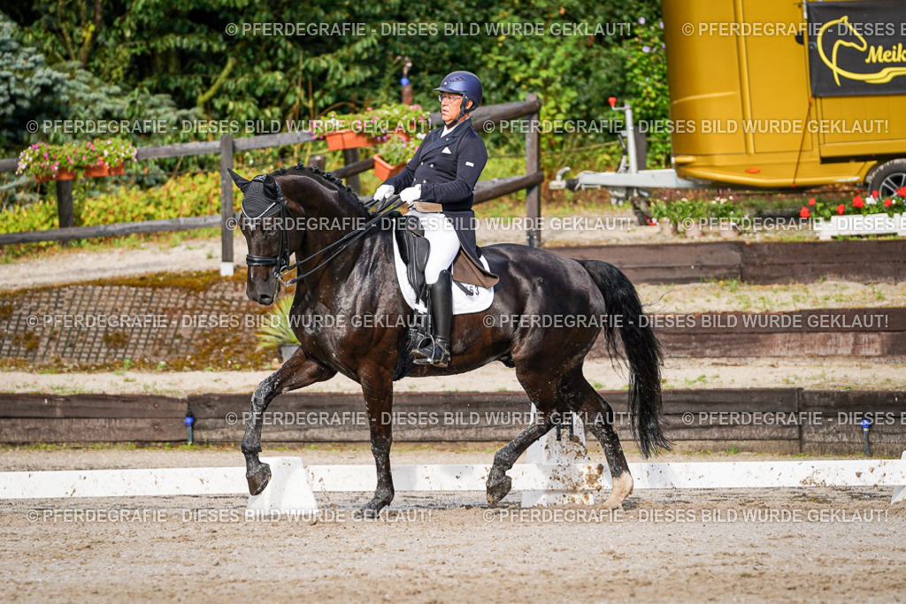 DSC00406 | Pferdegrafie