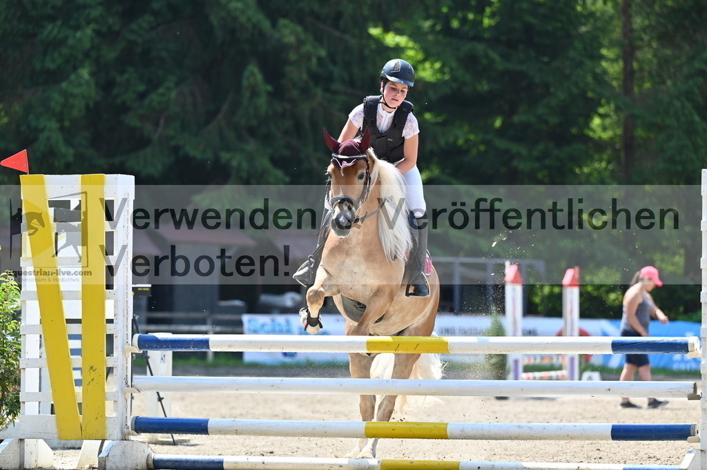 DSC_4279 | equestrian-live-com