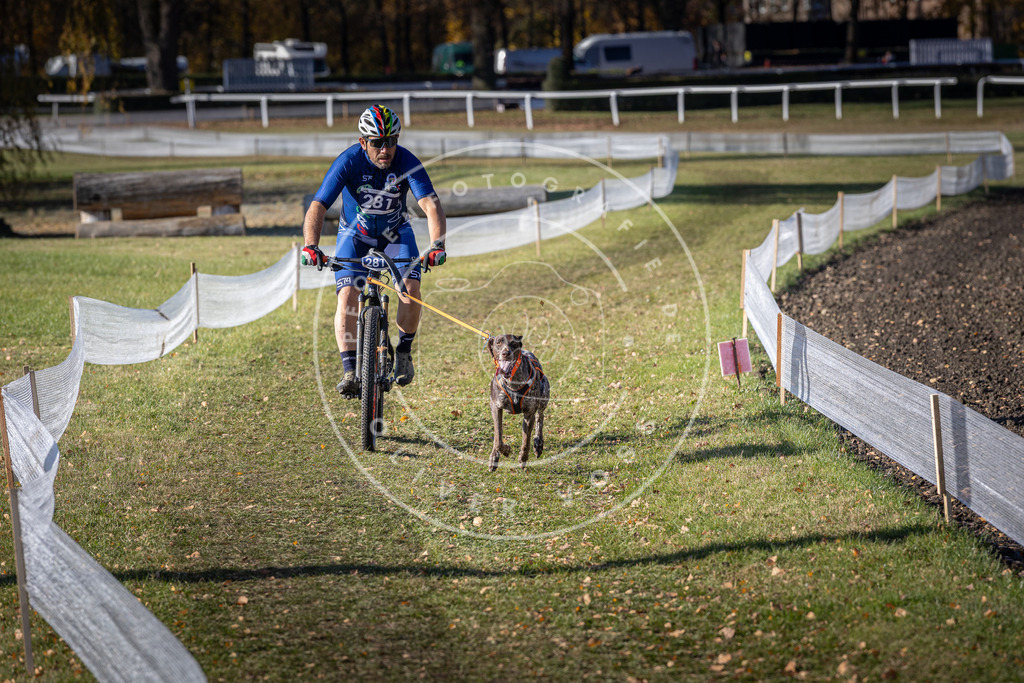 CaniXpix_DV3A5507 | Hundefotografie, Tierfotograf, Pfotenfotografie, Fotoshooting Hund, Hunde Portrait, Hundesport, Hundeportraits, Heideshooting, Hunde, Sportfotograf, Hundefotograf, Turnierhundsport, THS,  - Realisiert mit Pictrs.com