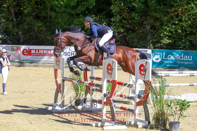 DKP43111 | Deine Turnierfotos vom Reitturnier online kaufen: Dressur, Springen & Siegerehrung. Professionelle Pferdefotografie aus dem Rheinland – als Download & Print.Alternative: Turnierfotograf für den Pferdesport: Finde deine Fotos von Dressur- und Springturnier