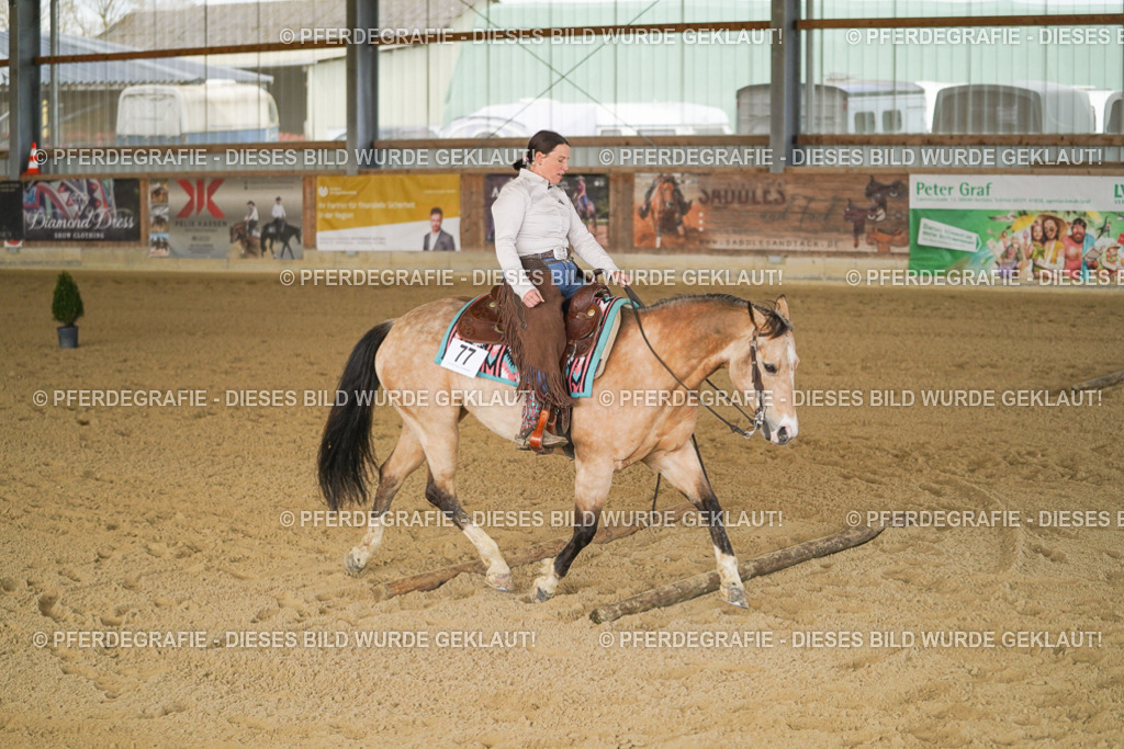 DSC03173 | Pferdegrafie