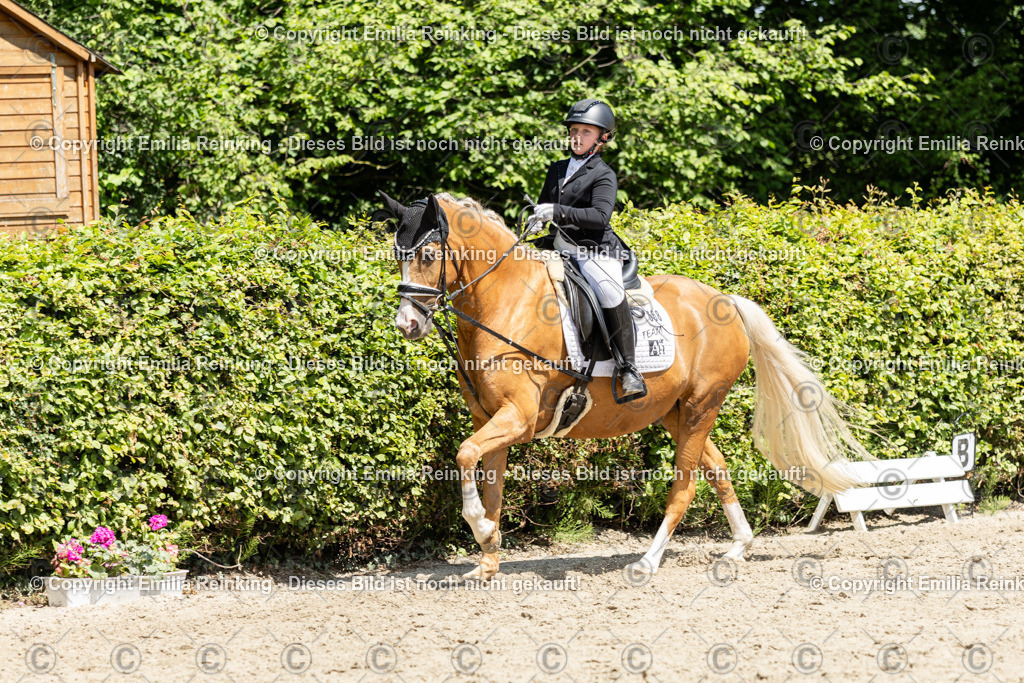 CL5A9478 | Emilia Reinking Fotografie - Realisiert mit Pictrs.com