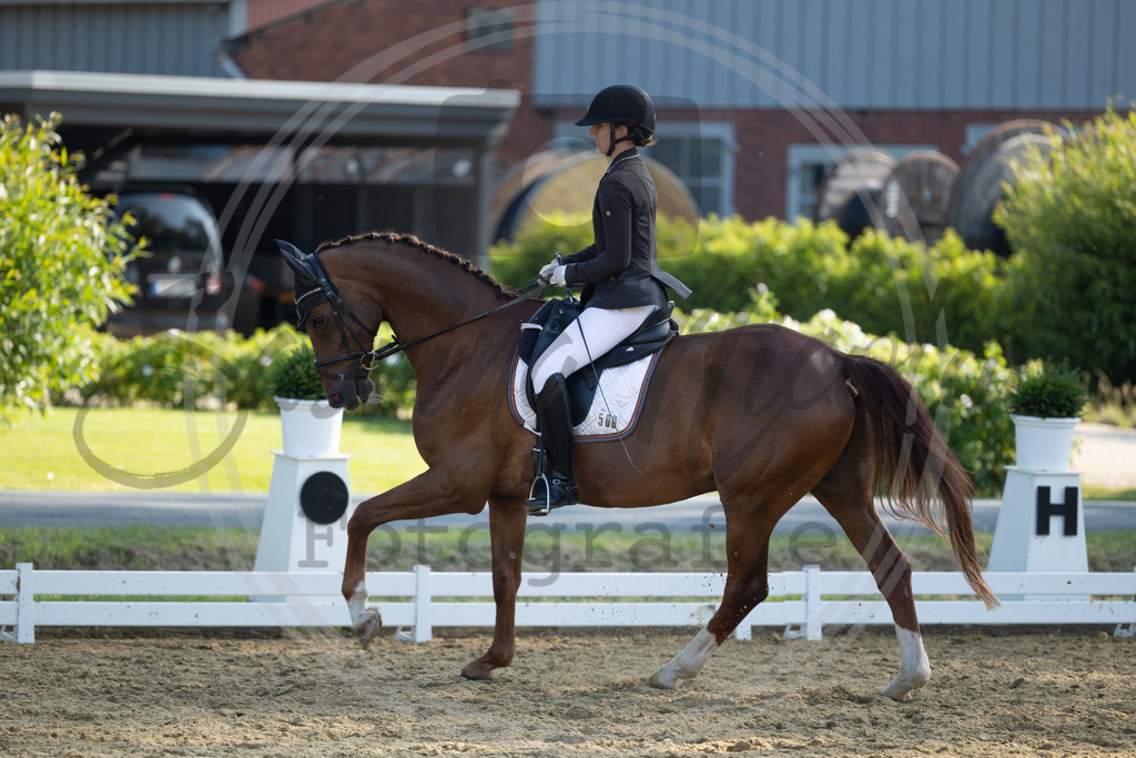 994A3345 | sabrinanicolaifotografie - Realisiert mit Pictrs.com