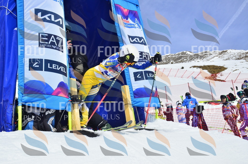 _ELE1584 | holidayphoto