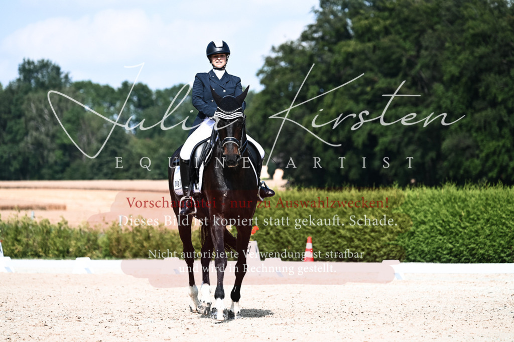 DSC_3301 | Pferde- und Turnierfotografie in Westsachsen. Pferdeportraits, Auftragszeichnungen und intuitive Kunst.