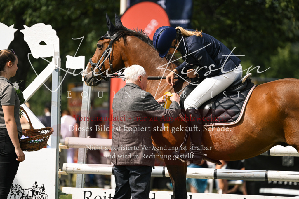 DSC_0686 | Pferde- und Turnierfotografie in Westsachsen. Pferdeportraits, Auftragszeichnungen und intuitive Kunst.