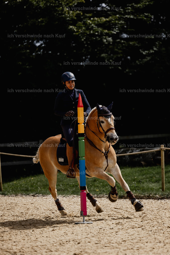 Tanesha5FHC2025-20158 | working equitationturnier fotograf videograf stoibphotography marixx film working equitation deutschland reitsport turnierfotografie eventfotografie equestrian events