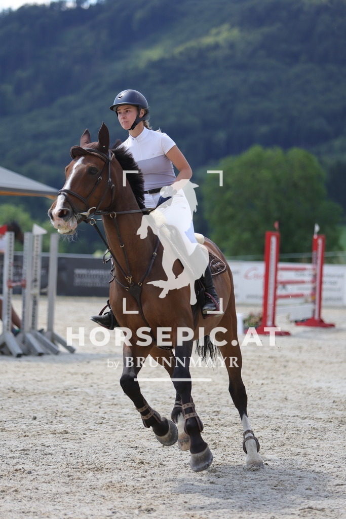 0P6A0181 | Willkommen bei Brunnmayr - Design & Fotografie – Ihrem Spezialisten für Reitturniere und Pferdeveranstaltungen in Oberösterreich, Salzburg und Bayern! Seit über 17 Jahren sind wir leidenschaftlich dabei.
