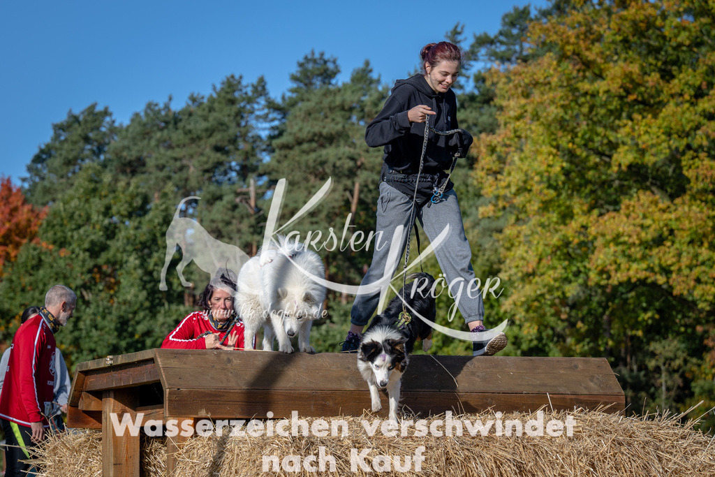 1051_ZZ91789 | kk-dogfotos