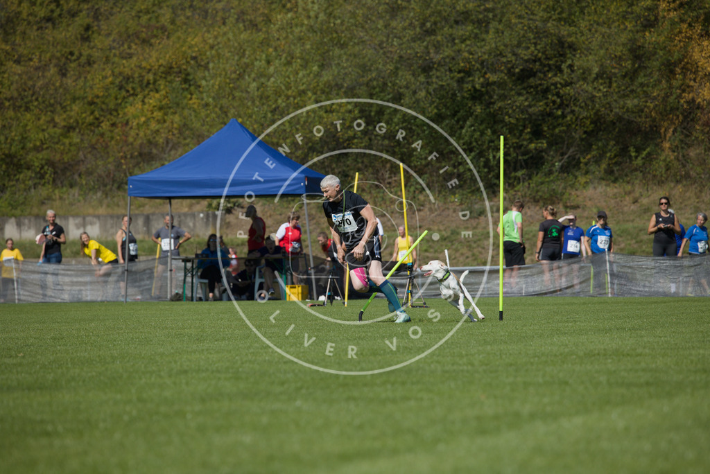 0L8A6651 | Hundefotografie, Tierfotograf, Pfotenfotografie, Fotoshooting Hund, Hunde Portrait, Hundesport, Hundeportraits, Heideshooting, Hunde, Sportfotograf, Hundefotograf, Turnierhundsport, THS,  - Realisiert mit Pictrs.com