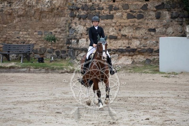 2B4A2283 | pixelfaenger - Realisiert mit Pictrs.com