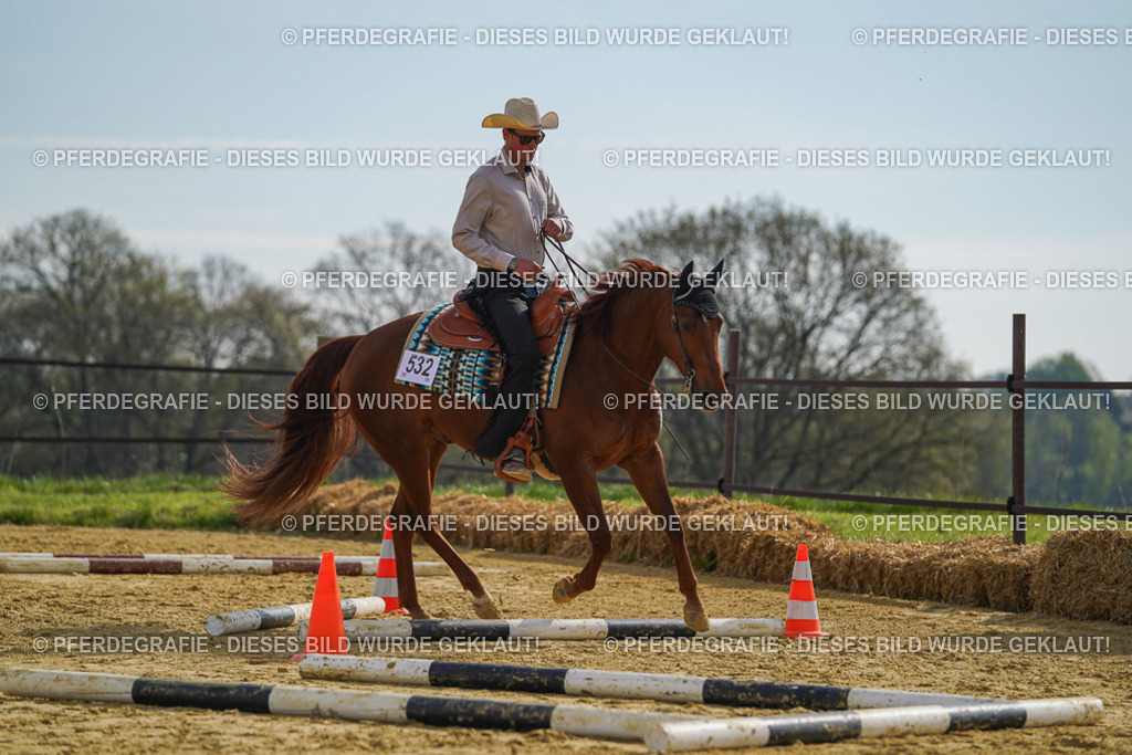 DSC01526 | Pferdegrafie