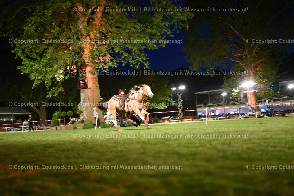 20230526_Pferdenacht_1335 | equistock